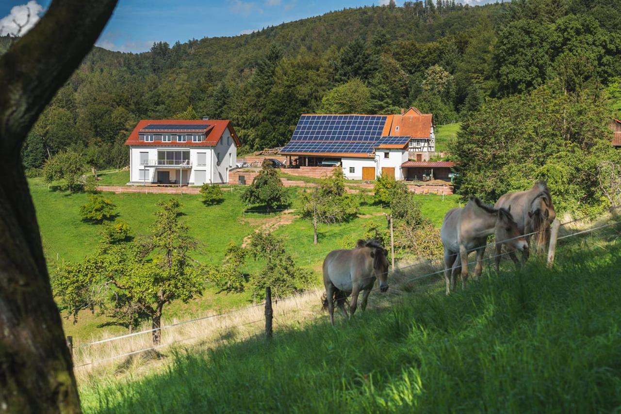 Gruenewaldhof In Rimbach Im Odenwald Apartment Exterior foto