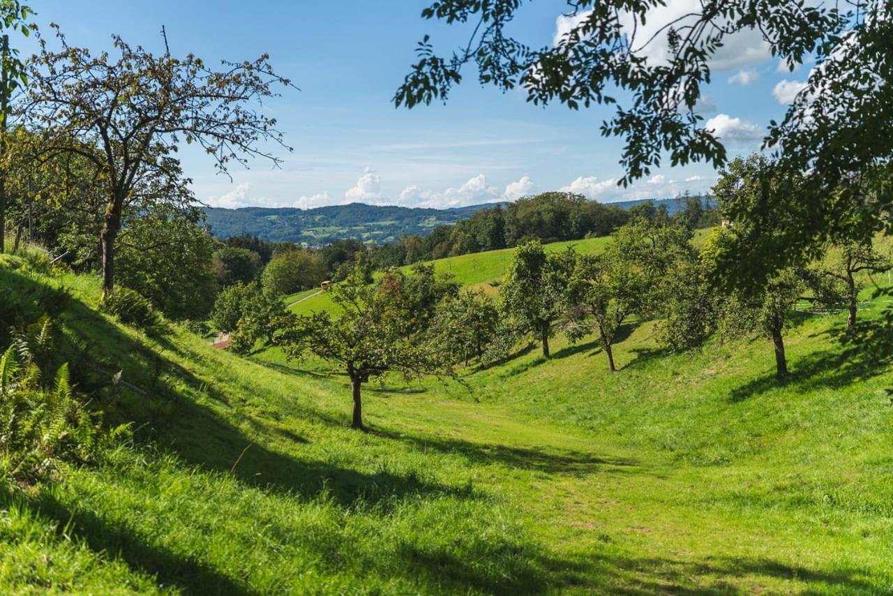 Gruenewaldhof In Rimbach Im Odenwald Apartment Exterior foto